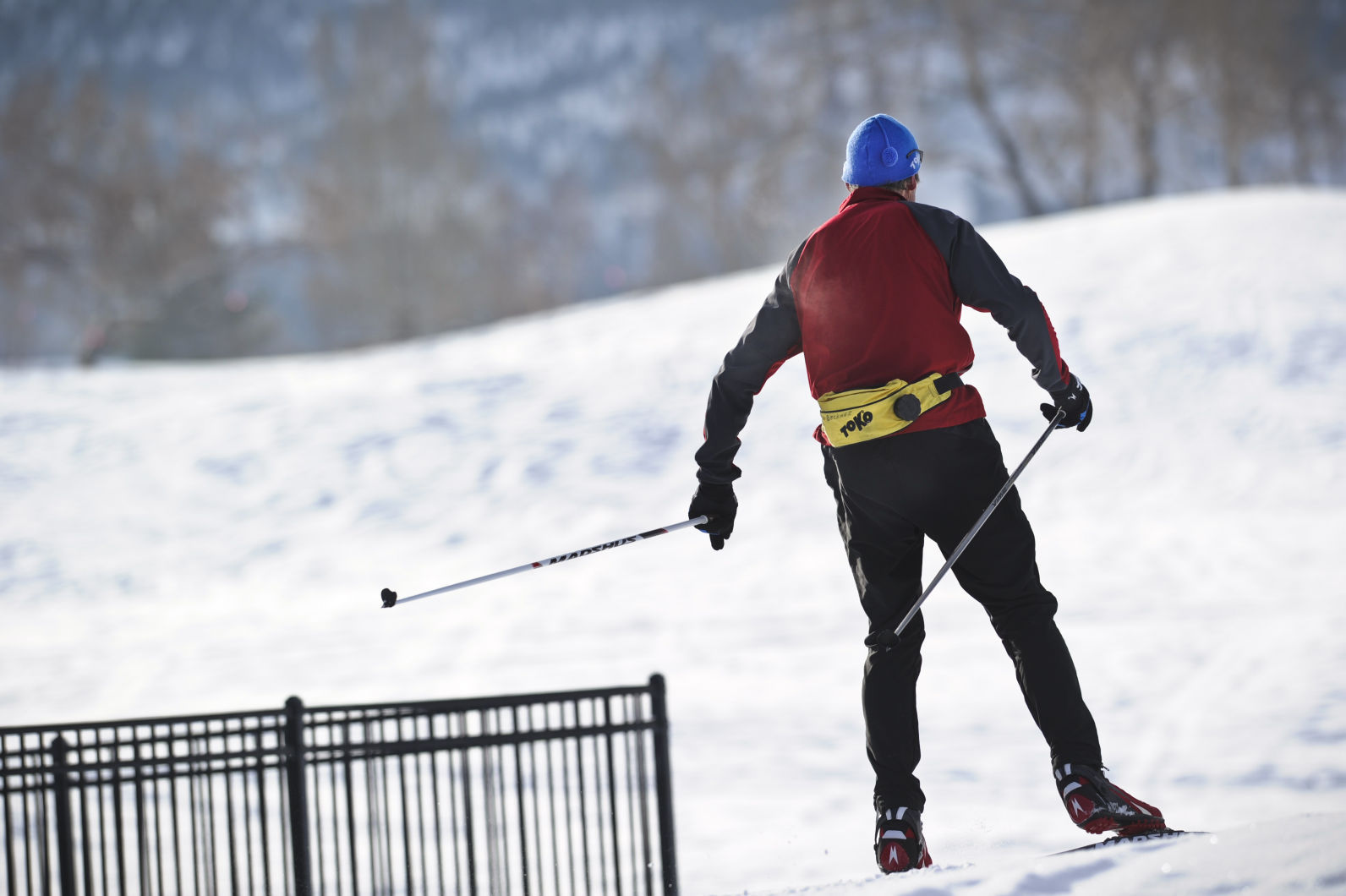 Cross-country ski